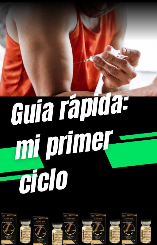Guía Rápida mi Primer Ciclo
